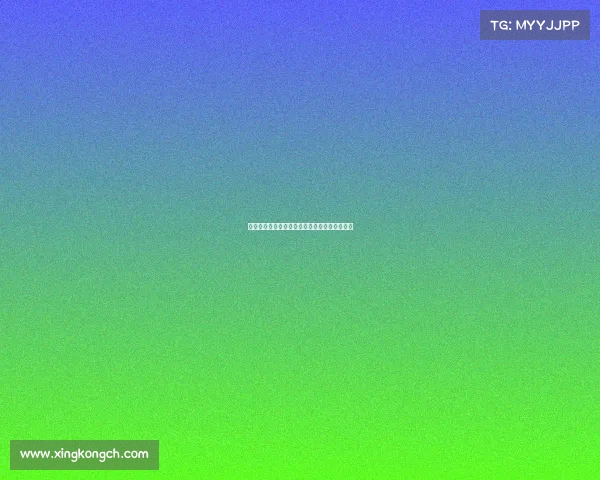 国际比赛的精华：哪些队伍能在未来成为强者？