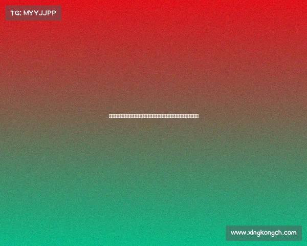 成为优秀教练的关键：雷迪克谈如何通过比赛理解、沟通与适应力提升指导能力