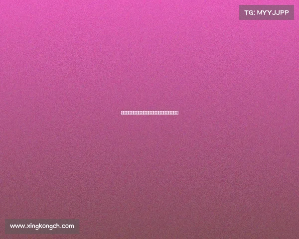 见证历史时刻！名荷兰球迷共同庆祝足球激情与团结